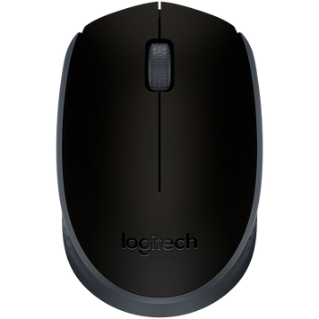 LOGITECH M171 Wireless Mouse - BLACK L910-004424 фото
