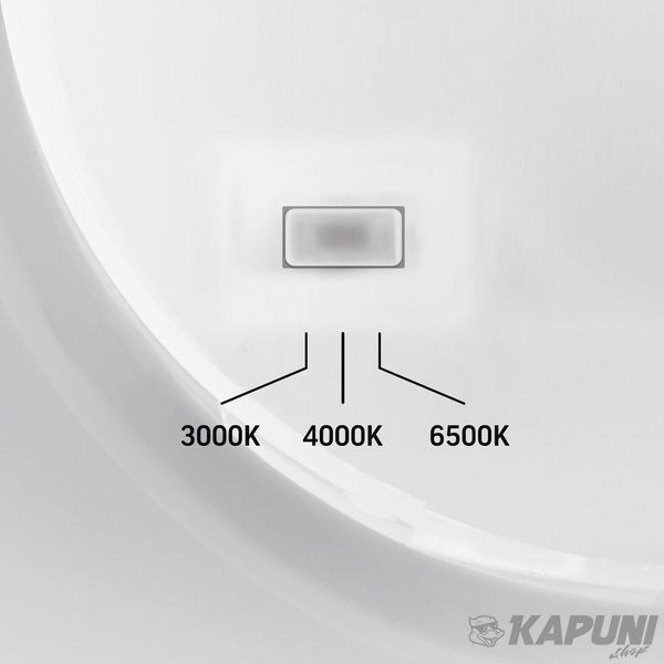 LED светильник настінний IP65 VIDEX WL03 12W 3000K-4000K-6500K White VL-WL03-12CW 28763 фото