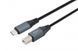 Кабель премиум USB 2.0 C-папа/B-папа, 1.8 м, блистер, премиум, CCBP-USB2-CMBM-6 CCBP-USB2-CMBM-6 фото 2