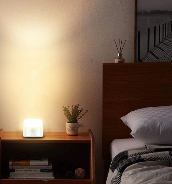Світлодіодний світильник портативний 2W EUROLAMP NL-2W(white) фото