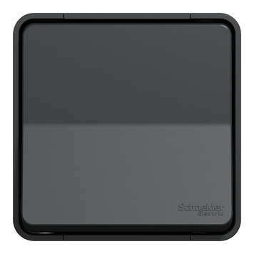 Кнопочный выключатель Schneider Electric Mureva Styl IP55 чёрный MUR35026 MUR35026 фото