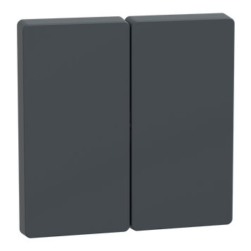Накладка 2-клавішного вимикача Schneider Electric Merten D-Life антрацит (MEG3400-6034) MEG3400-6034 фото