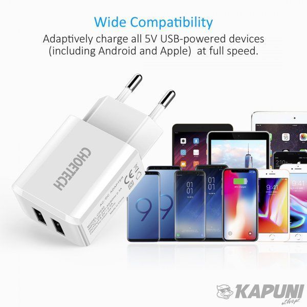 Сетевое зарядное устройство Choetech 2A 2USB White (C0030EU-WH) C0030EU-WH фото