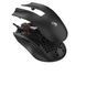 Игровая мышь Bloody, RGB, 6000 CPI, 10M нажатий ES8 (Stone Black) ES8 (Stone Black) фото 6