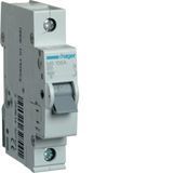 Автоматический выключатель Hager MBN106 1P 6kA B 6A 1M MBN106 фото