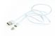 Кабель USB 2.0 BM-тато/Type-C, 1.0 м, CC-USB2-AMUCMM-1M CC-USB2-AMUCMM-1M фото 1