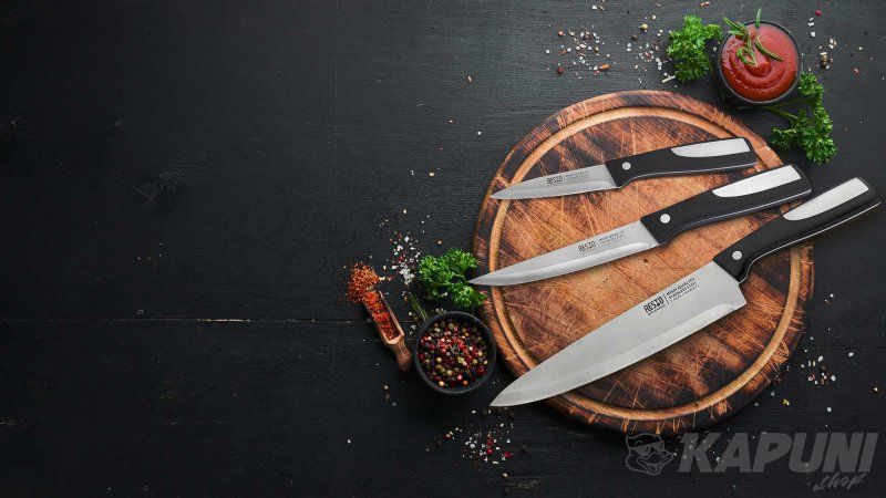 Набір ножів RESTO 4 предмети, колекція "LEO", нержавіюча сталь 95504 95504 фото
