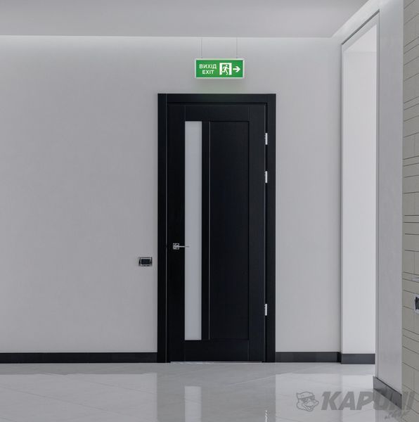LED светильник аварийный ВИХІД ЗІ СТРІЛКОЮ двосторонній TITANUM TL-EM101-D 27387 фото