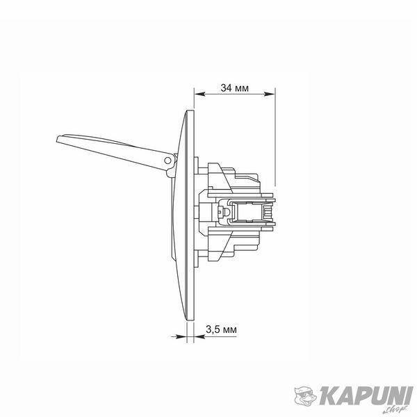 Розетка одинарная с заземлением и кришкою срібний шовк VIDEX BINERA VF-BNSK1GС-SS 24900 фото