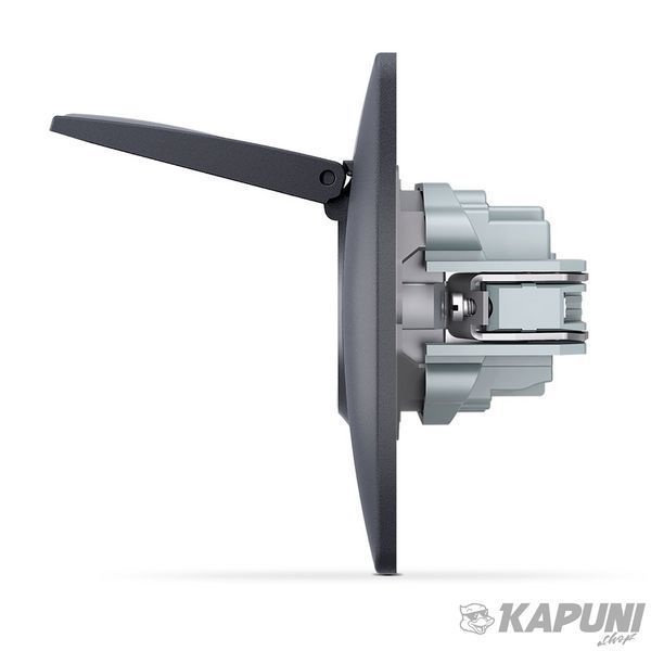 Розетка одинарная с заземлением и кришкою черный графіт VIDEX BINERA VF-BNSK1GС-BG 24474 фото