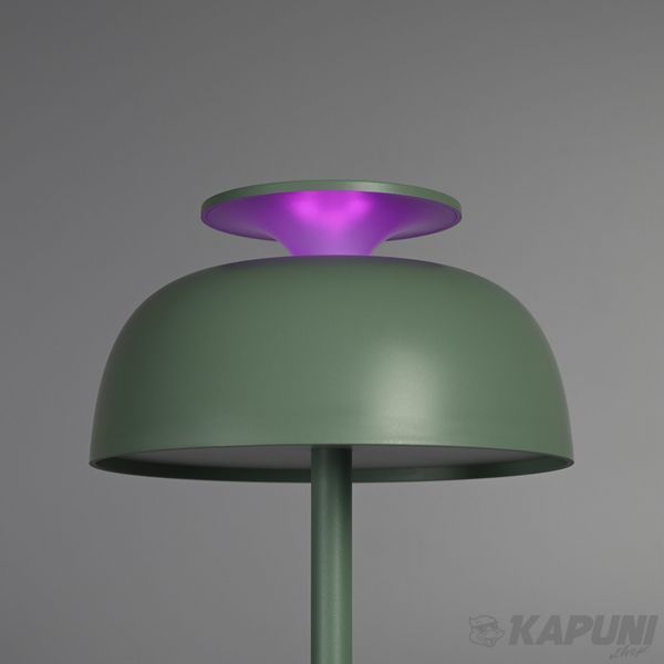 LED лампа настiльна с акумулятором VIDEX 8.5W 4000K+RGB Green VL-TF23G 29248 фото
