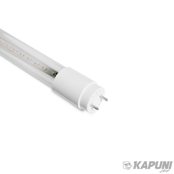 LED FITO лампа VIDEX T8F 9W 0.6M, 12 umol/s, G13, 660nm+450nm (фіолетове світло) VL-T8F-0906B 26999 фото