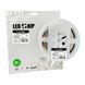 LED Стрічка COB 480 діодів-5м-24V-6500K EUROLAMP LED/ROLL-5m/6500K(480) фото 4