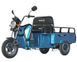 Електроскутер Maxxter CARRIER 1000 Вт, синій CARRIER (Blue) CARRIER (Blue) фото 1