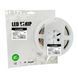 LED Стрічка COB EUROLAMP 480 діодів-5м-24V-3000K LED/ROLL-5m/3000K(480) фото 5
